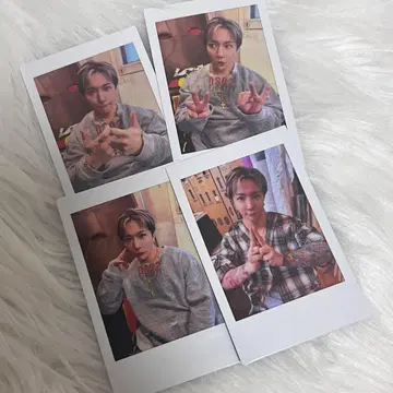 ViViD 폴라로이드 이브 4장