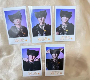 초특급 하루 NINE LIVES 미니 사진 컴프