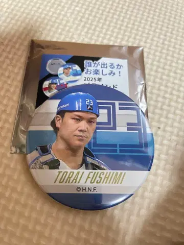 후시미 토라이 블라인드 캔뱃지