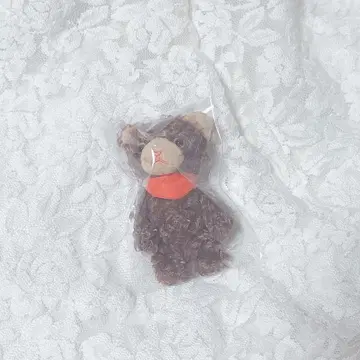 PRINCE CAT 쁘띠 프린스캣 봉제 인형 까멜리아