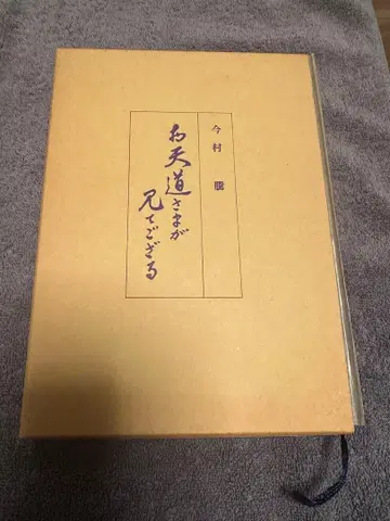 오텐토사마가 보고 계신다 이마무라 노보루