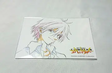 [ 새상품 미개봉 ] 에반게리온 나기사 카오루 엽서 6장 세트