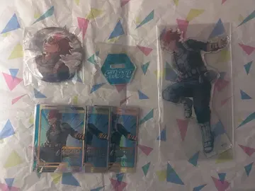 히로아카 원화전 토도로키 쇼토 정리