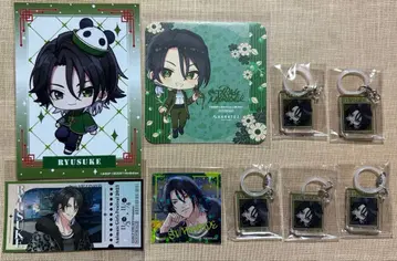 아르고나비스 스토스토 테오지 류스케 세트