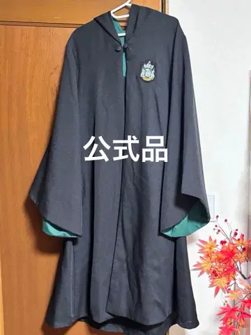 USJ 로브 슬리데린