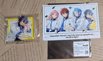 [앙스타] 스타포니 카라테츠 콜라보 시이나 니키