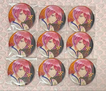 스타마이 귀여운 히카루 캔뱃지 로망기담