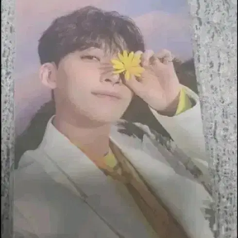 세븐틴 정한이 포토카드