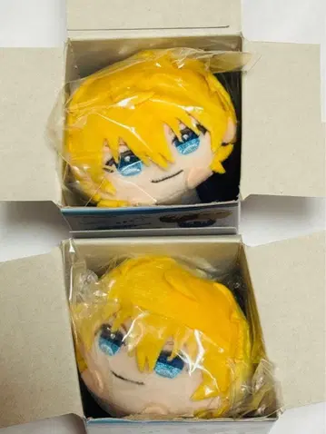 엑스 알비오 모치코로링