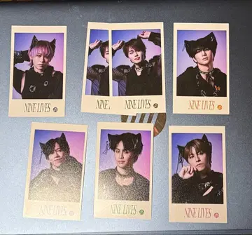 초특급 미니 사진 세트