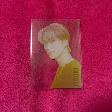 후지와라 이츠키 EXPO 시크레