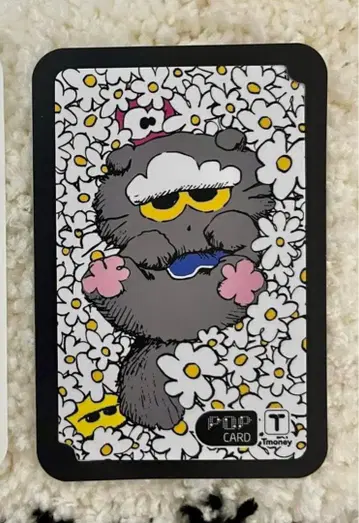 ZO&FRIENDS tmoney GD 한국 교통 카드