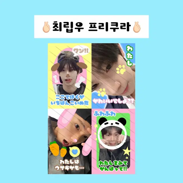 최립우 프리쿠라 스티커 비공굿 팬미팅 낮공 밤공 양도 판매 보이즈플래닛