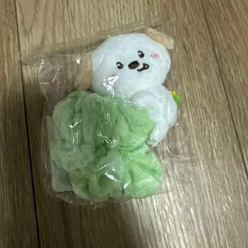 RIIZE 스크런치 몽룡이 앤톤