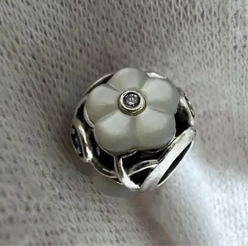 판도라 Luminous Florals 참