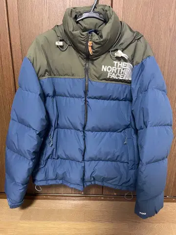THE NORTH FACE 다운 눕시 700
