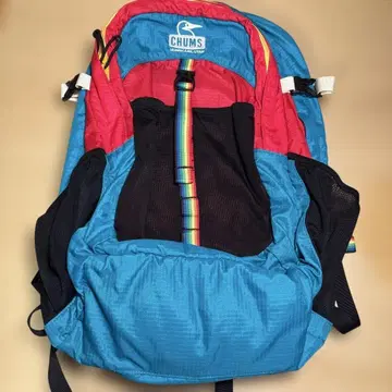 CHUMS SPRING DALE 25 백팩