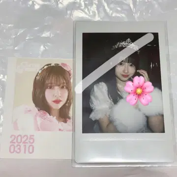 사쿠라바 하루카 파루탄 폴라로이드 생일 축하제