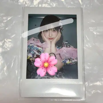 사쿠라바 하루카 파루탄 폴라로이드 그래픽 의상