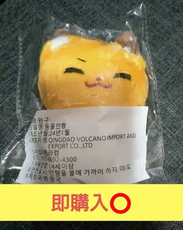 [ 즉시 구매 ] 우석 마슈 봉제 인형 ZEROBASEONE