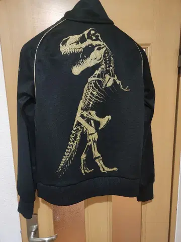 DRESSCAMP 드레스캠프 저리 티라노사우루스 T-REX M