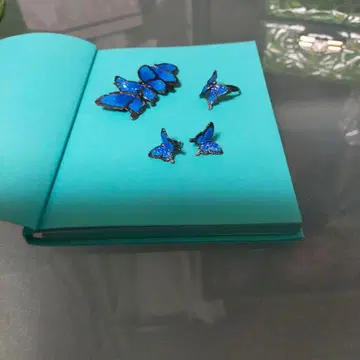 Palnart 나비 디자인 브로치, 귀걸이, 반지 세트