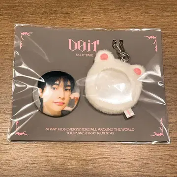 Stray Kids DO IT 팝업 소프트 페이스 배지 현진