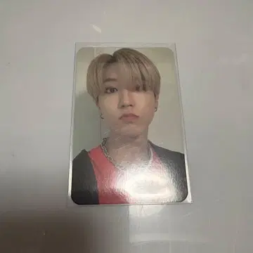 스키즈 shopee 매장 혜택 트레이딩 카드 한 cheese