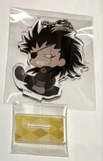 BLEACH 블리치 켄파치 SD 아크릴 스탠드 키링