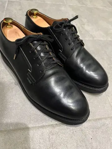 레드윙 REDWING 포스트맨 슈즈 US10.5 101