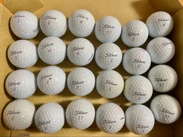 Titleist Pro V1, V1x 골프공 24개 로스트볼
