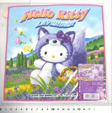 홋카이도 한정 라벤더 여우 푸치 타월 손수건 헬로키티 산리오