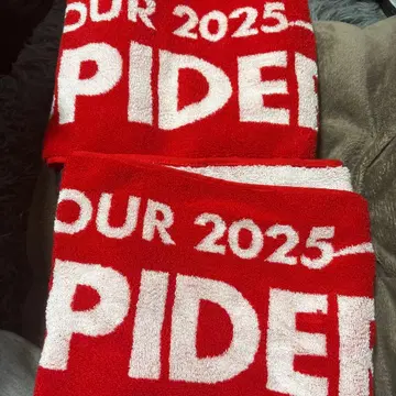 THE RAMPAGE 타월 2025 두 개