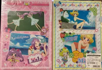 프리파라 A4 클리어 파일 세트 C