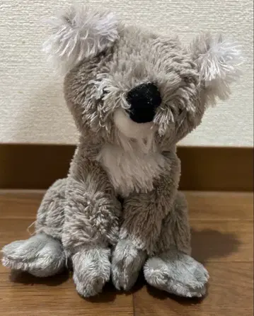 코알라 봉제 인형