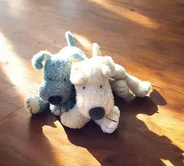 강아지 봉제 인형 파랑과 화이트 2개 세트