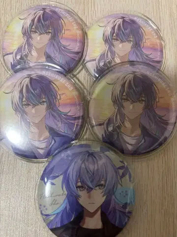 니지산지 Dytica 호시미치 쇼 바다의 집 마네키네코 캔뱃지