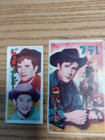 로버트 플러 등. 딱지 라라미 목장에서 초 레어