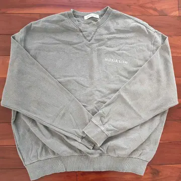 [ ALEXIA STAM 그레이 맨투맨 ] 알렉시아 스탬