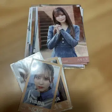 이코럽 오바 하나 브로마이드 미니 사진 묶음 판매