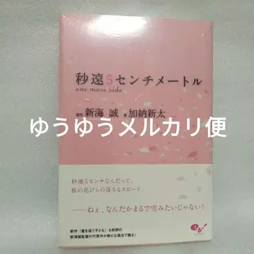 초속 5cm one more side