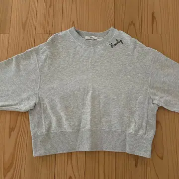 저널 스탠다드 리룸 자수 로고 맨투맨