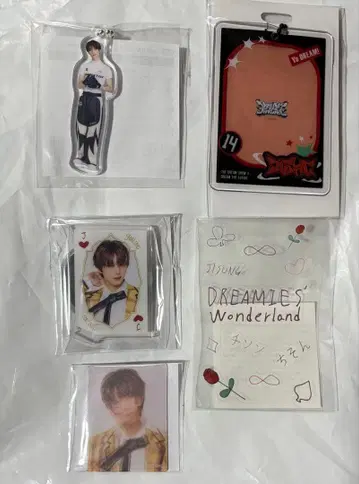 NCT DREAM 랜덤 토이 지성