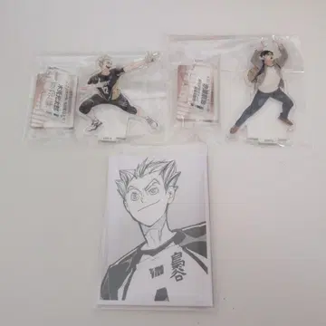 하이큐 크로니클 아크릴 피규어 보쿠토 코타로 아카아시 케이지