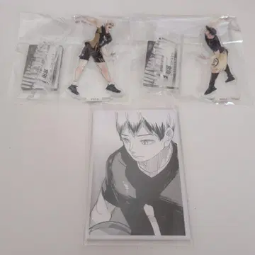 하이큐 크로니클 아크릴 피규어 미야 아츠무 미야 오사무