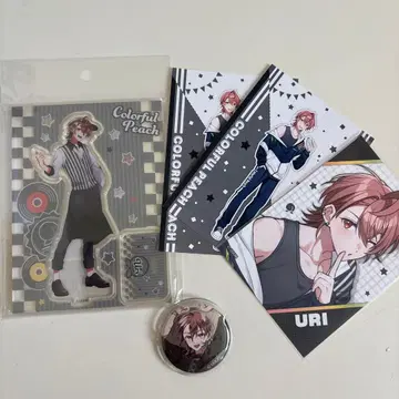 컬러풀 피치 우리 묶음 판매