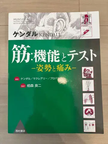 [ 레어 단종 ] 근육 기능과 테스트 -자세와 통증-