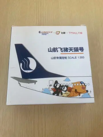 산둥 항공 B-1369 항공기 모델 산항비저천묘호 1/300