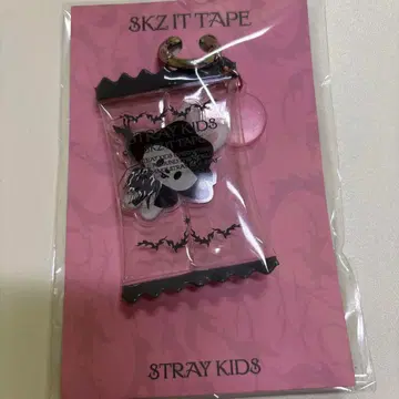 stray kids popup 리빗 키링