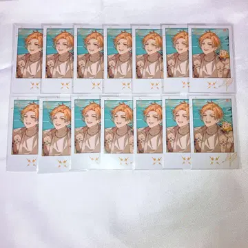 니지산지 2주년 우사미 리토 폴라로이드 14